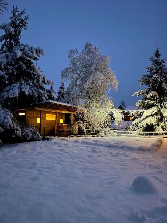 Raj Holiday home Besenova